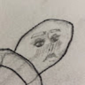 Meet your Posher, Maxinenixam